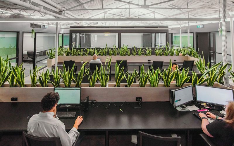 384 Keilor Road, Niddrie Image 11