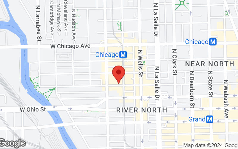 306 W Erie St, Chicago Image 13