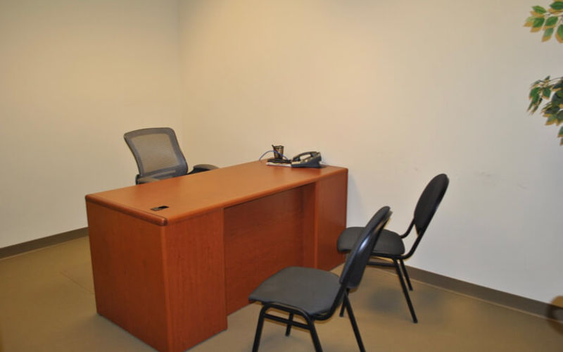 10150 Highland Manor Drive, Tampa Image 2