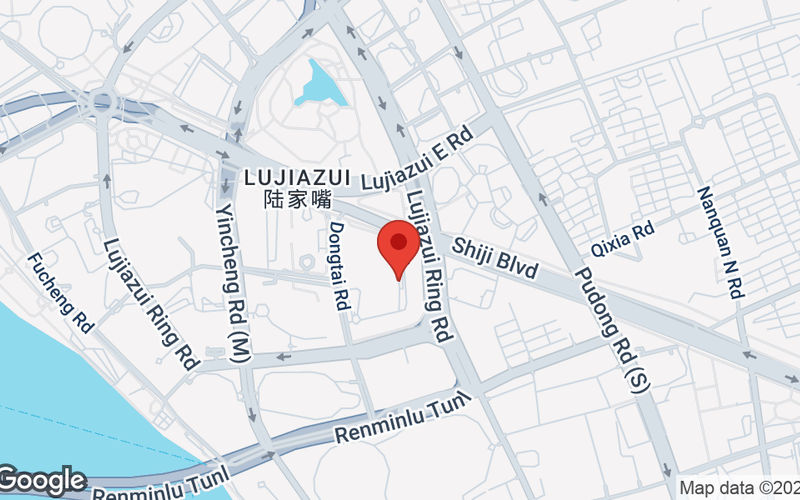 100 Century Avenue, Shanghai Image 16