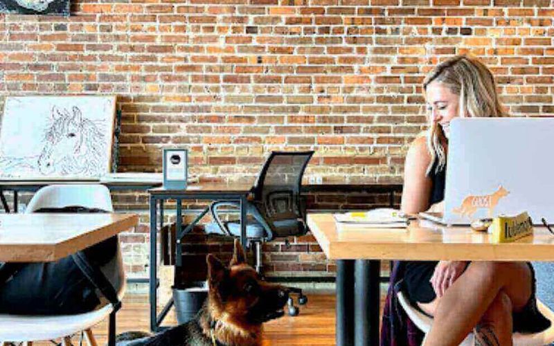 109 Harrison Ave, Panama City Image 6