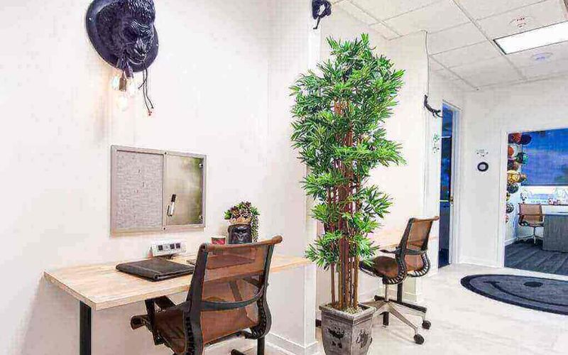 4800 N Federal Hwy, Boca Raton Image 7