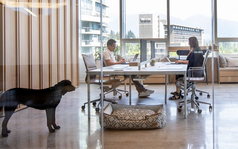 1575 W Georgia St, Vancouver Image 6