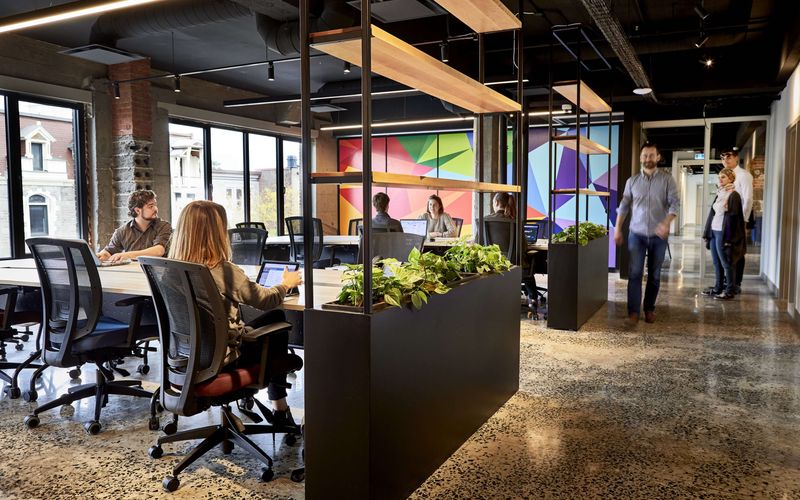 4388 Rue Saint-denis, Montréal Image 5