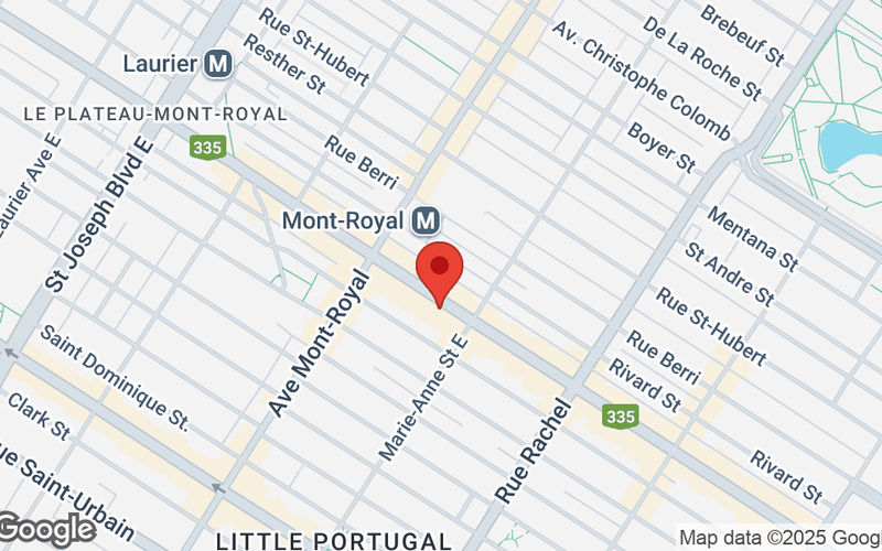 4388 Rue Saint-denis, Montréal Image 25