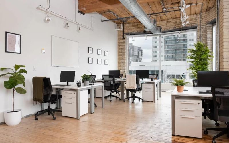 215 Spadina Ave, Toronto Image 6