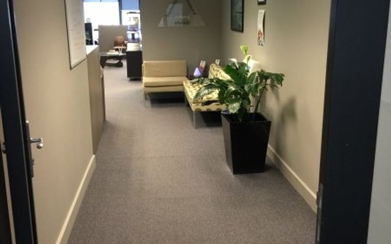 175 Oxford Street, Bondi Junction Image 1