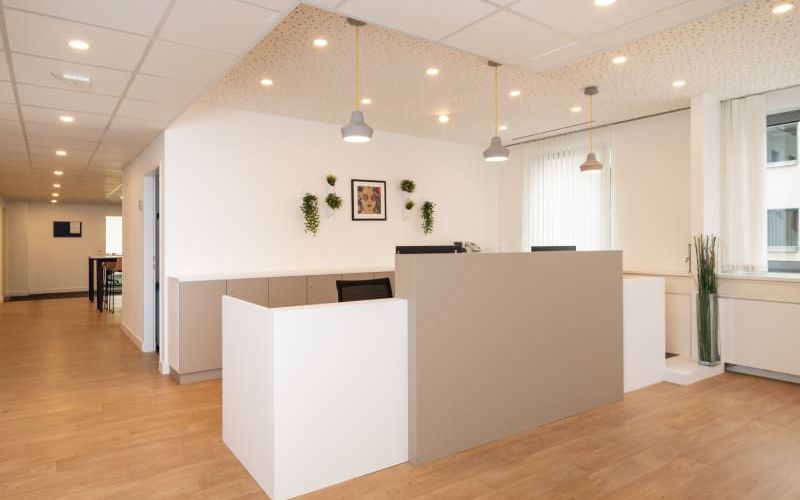 Mariahilfer Strasse 123/3, Vienna Image 11