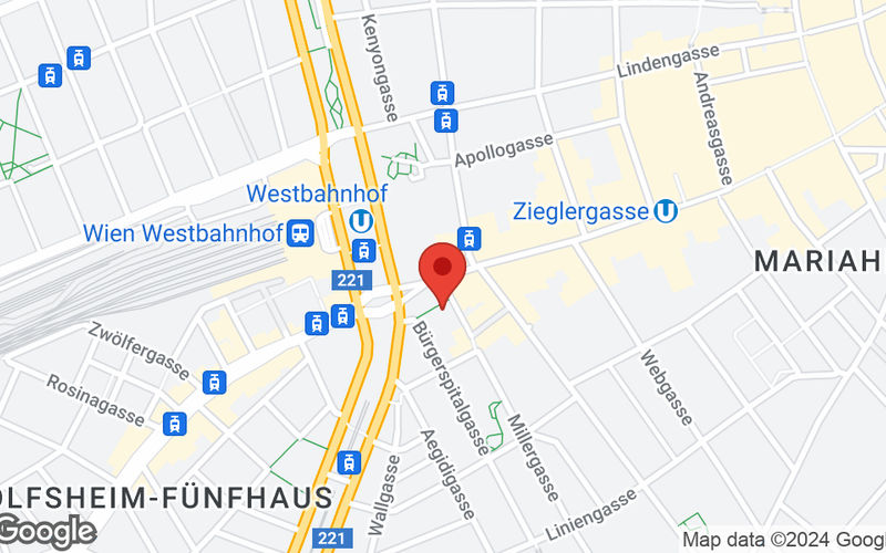 Mariahilfer Strasse 123/3, Vienna Image 13