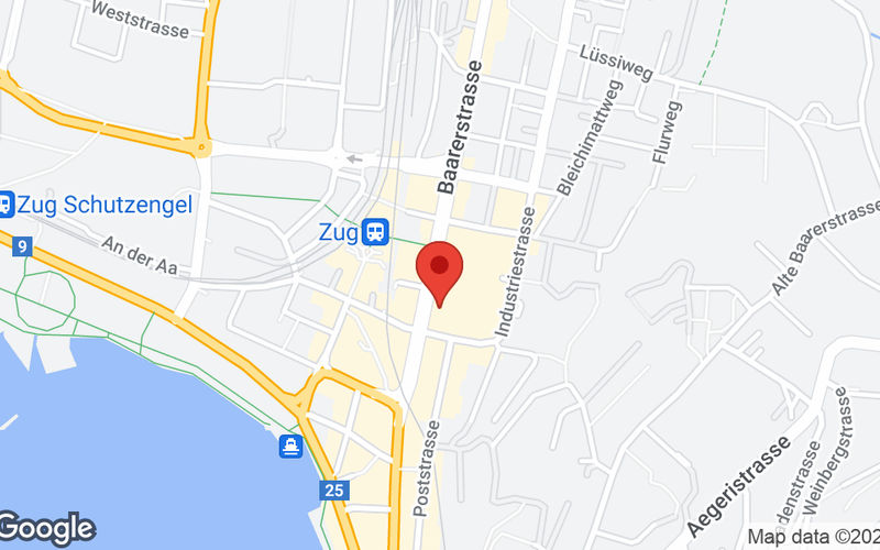 14 Baarerstrasse, ZUG Image 10