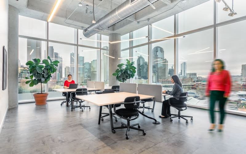 2550 Pacific Avenue, Dallas Image 6