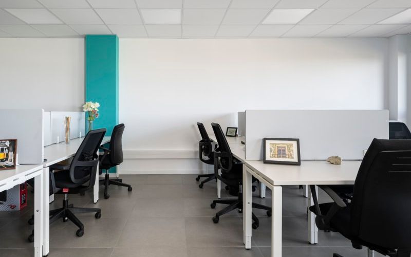 21 Gremi De Sabaters, Palma De Mallorca Image 7