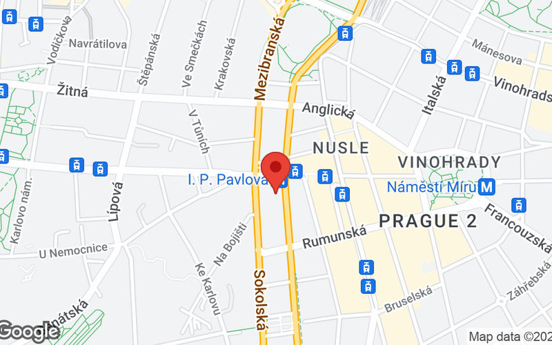 1789/5 Ip Pavlova Square, Prague Image 10