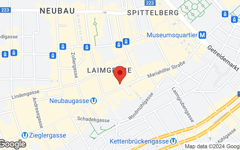 Mariahilfer Strasse 36, Vienna Image 10