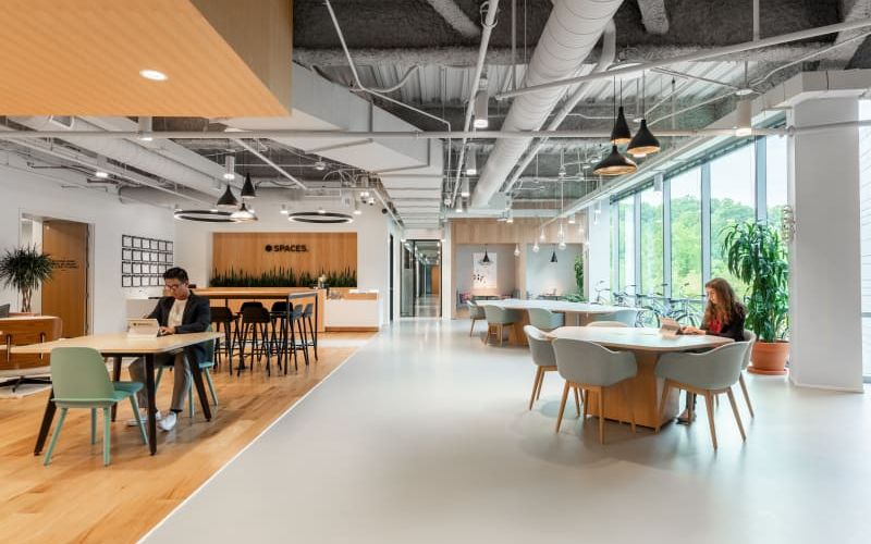 4509 Creedmoor Rd, Raleigh Image 5