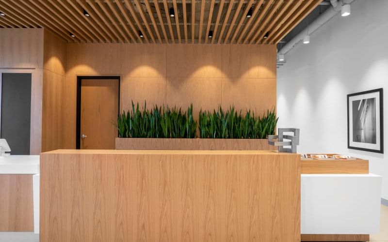 34 Minowan Miikan Lane, Toronto Image 2