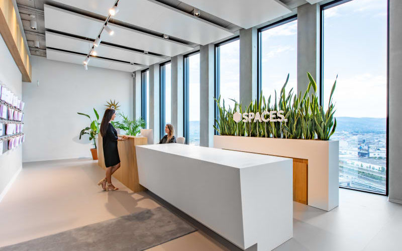 29 Grosspeteranlage, Basel Image 10