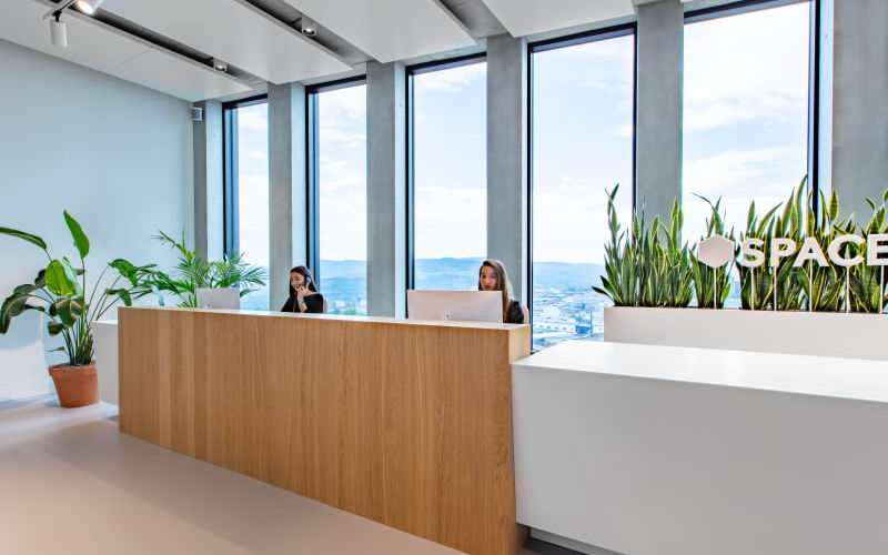 29 Grosspeteranlage, Basel Image 4