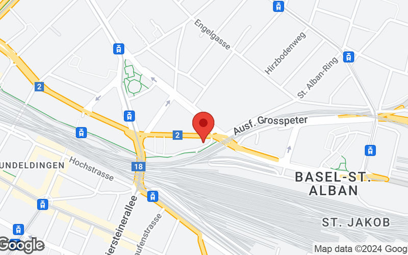 29 Grosspeteranlage, Basel Image 13