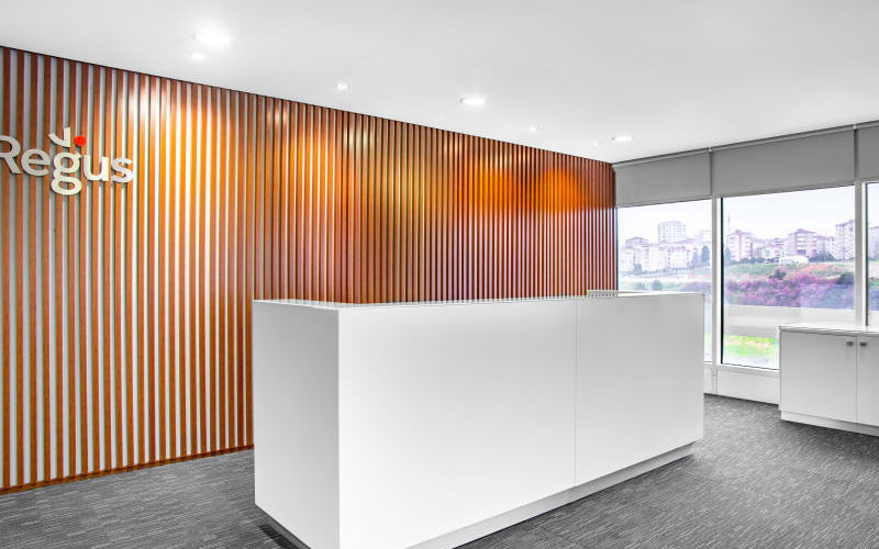 1 Merdivenkoy Mahallesi Bora Sokak, Istanbul Image 2