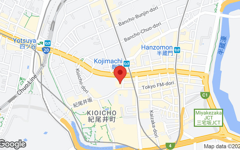 4-5-20 Kojimachi Chiyoda-ku, Tokyo Image 6