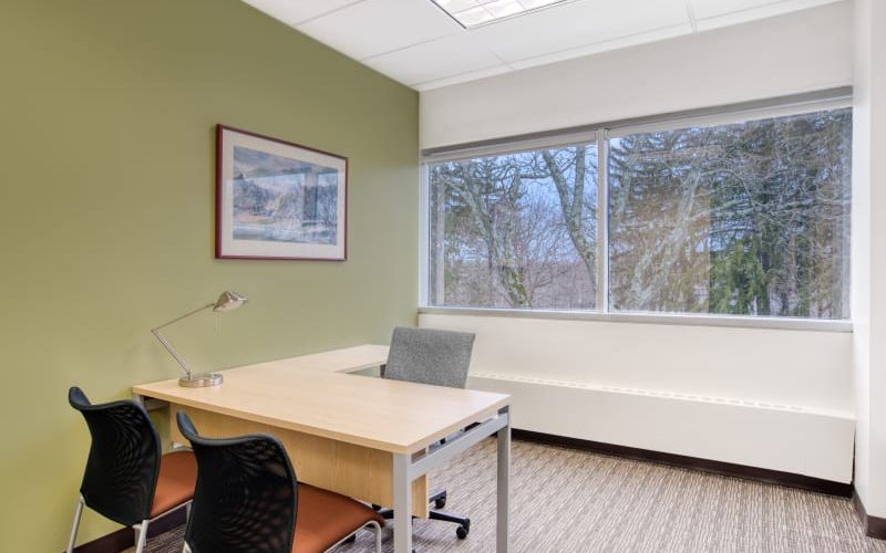 411 Theodore Fremd Avenue, RYE Image 5