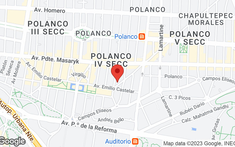 Aristoteles 77 Polanco, Mexico City Image 9