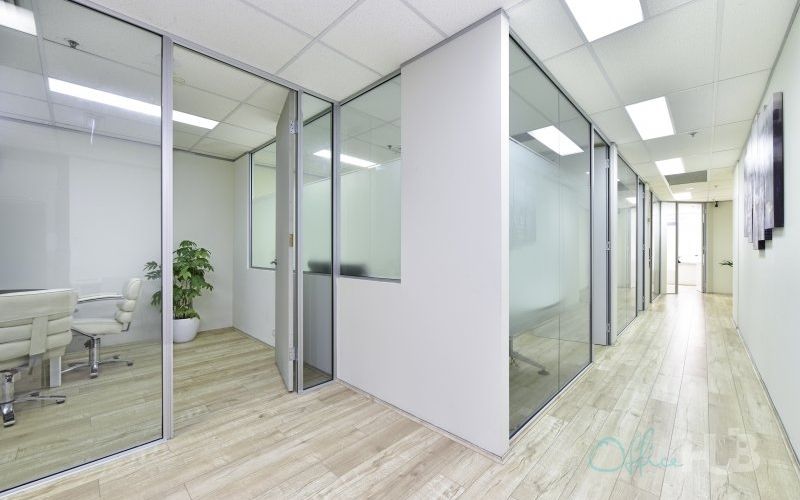 155 Castlereagh Street, Sydney Image 4