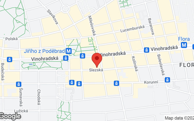 45 Slezská, Vinohrady Image 8