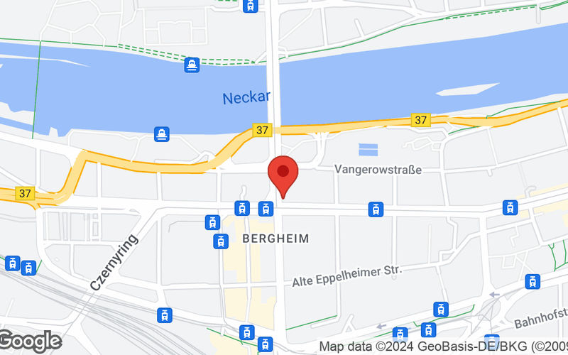 Bergheimer Strasse 104, Heidelberg Image 11