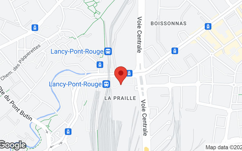 9a Esplanade De Pont-rouge, Lancy Image 14