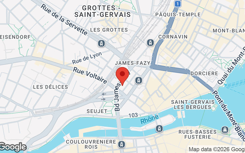 8 Bd James-fazy, Geneva Image 6