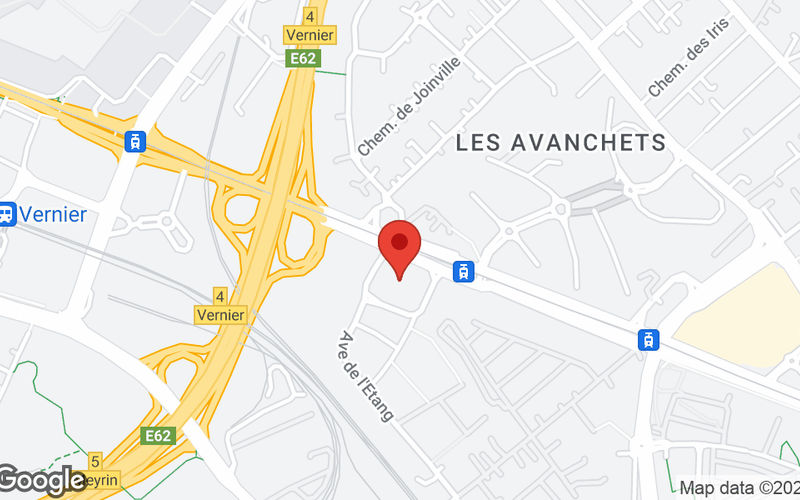 123 Rte De Meyrin, Vernier Image 8