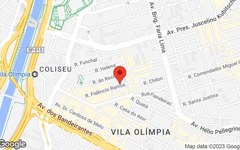 100 R Fidêncio Ramos Vila Olímpia, São Paulo Image 11