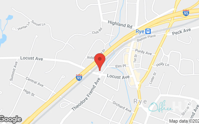 80 Theodore Fremd Ave, RYE Image 14