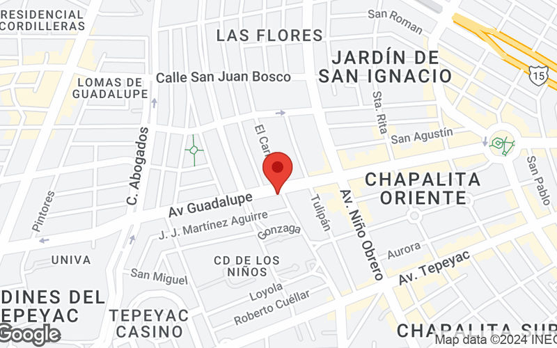 4109 Av Guadalupe  Cd De Los Niños, Zapopan Image 9