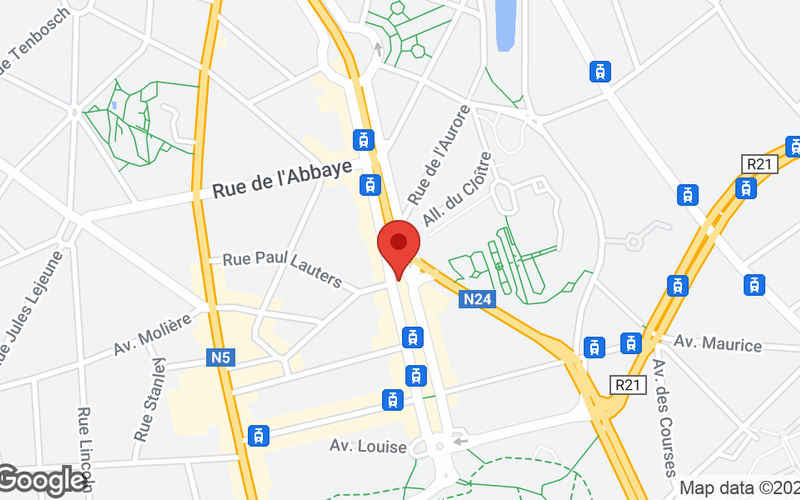 485 Av Louise, Brussels Image 10