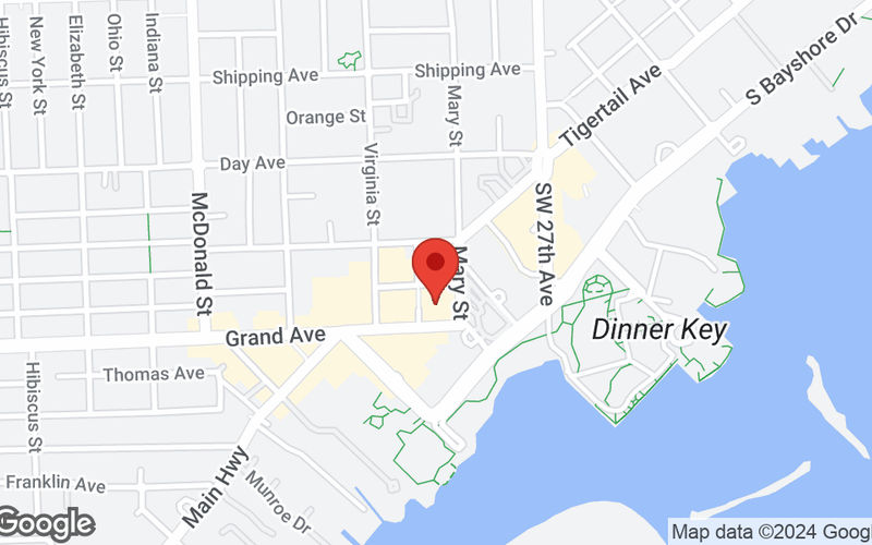 3390 Mary Street, Miami Image 11