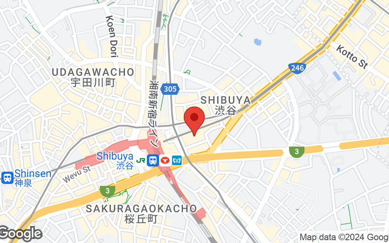 2-21-1 Shibuya, Shibuya-ku Image 10