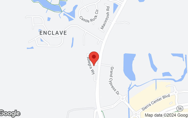 25200 Sawyer Francis Ln, Lutz Image 9