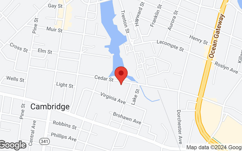204 Cedar St, Cambridge Image 9