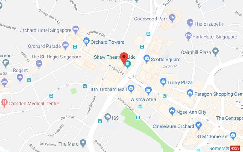 350 Orchard Road, Singapore Image 13