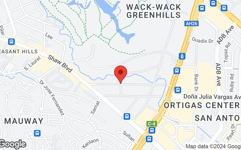 Princeton Street Corner Shaw Blvd, Mandaluyong Image 21