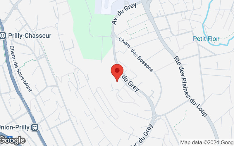 2 Av De Gratta-paille, Lausanne Image 6