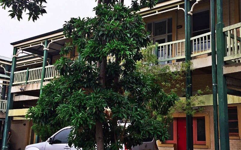 1 Payneham Road, College Park Image 1