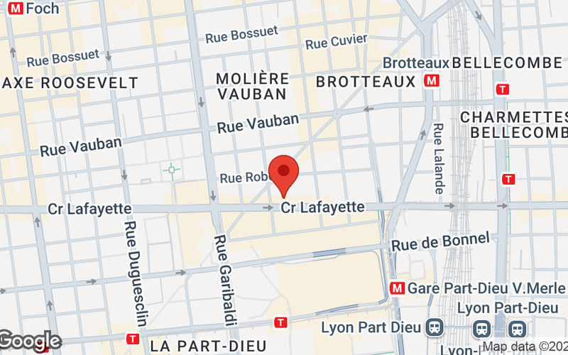 19 Bd Eugène Deruelle, Lyon Image 8