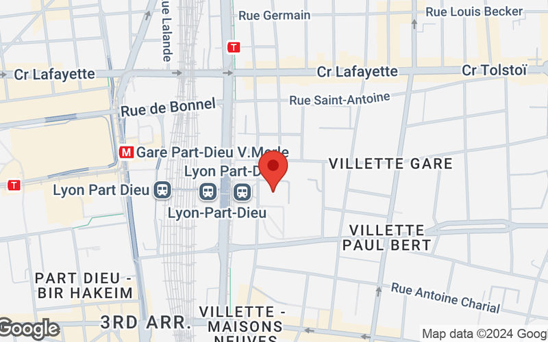 27 Rue Maurice Flandin, Lyon Image 8