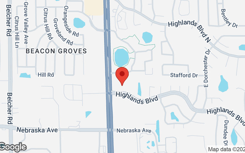 34125 Us Highway 19, Palm Harbor Image 12