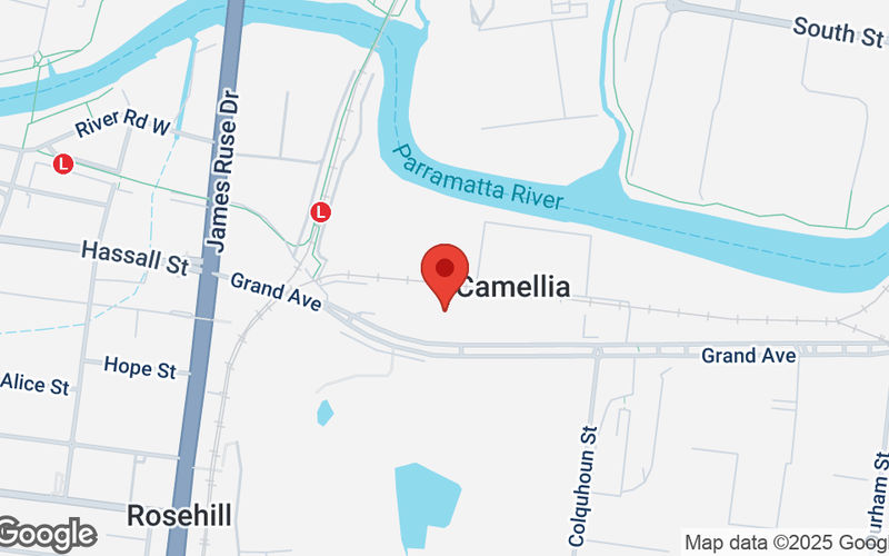 9 Grand Avenue, Camellia Image 14