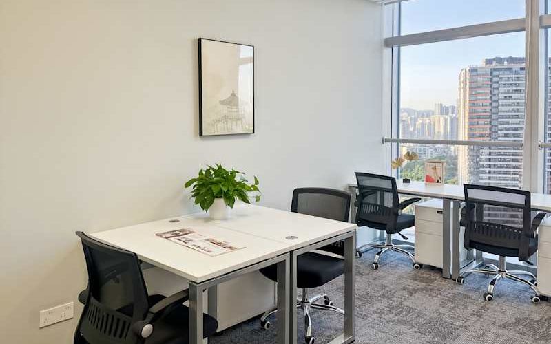 No 1001 Shennan East Avenue, Luohu Image 3